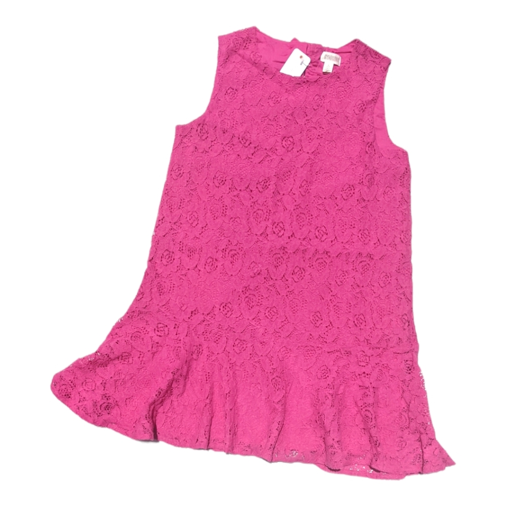 Gymboree Girls S 5-6 Pink Floral Button Back Bow Lace dress